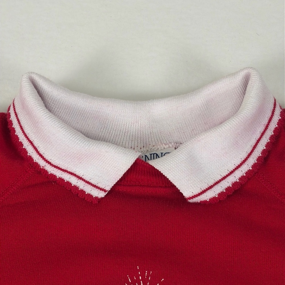 Vintage Sweatshirt 90s Morning Sun Popcorn 3D Puff Sweatshirt Hanes Red Large L - Picture 7 of 16